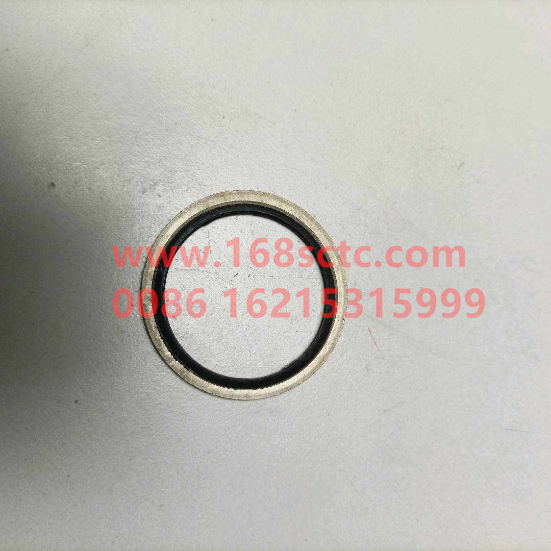 VG2600150106-SINOTRUK HOWO-Gasket-ZhongQiFaDongJiWT615.95