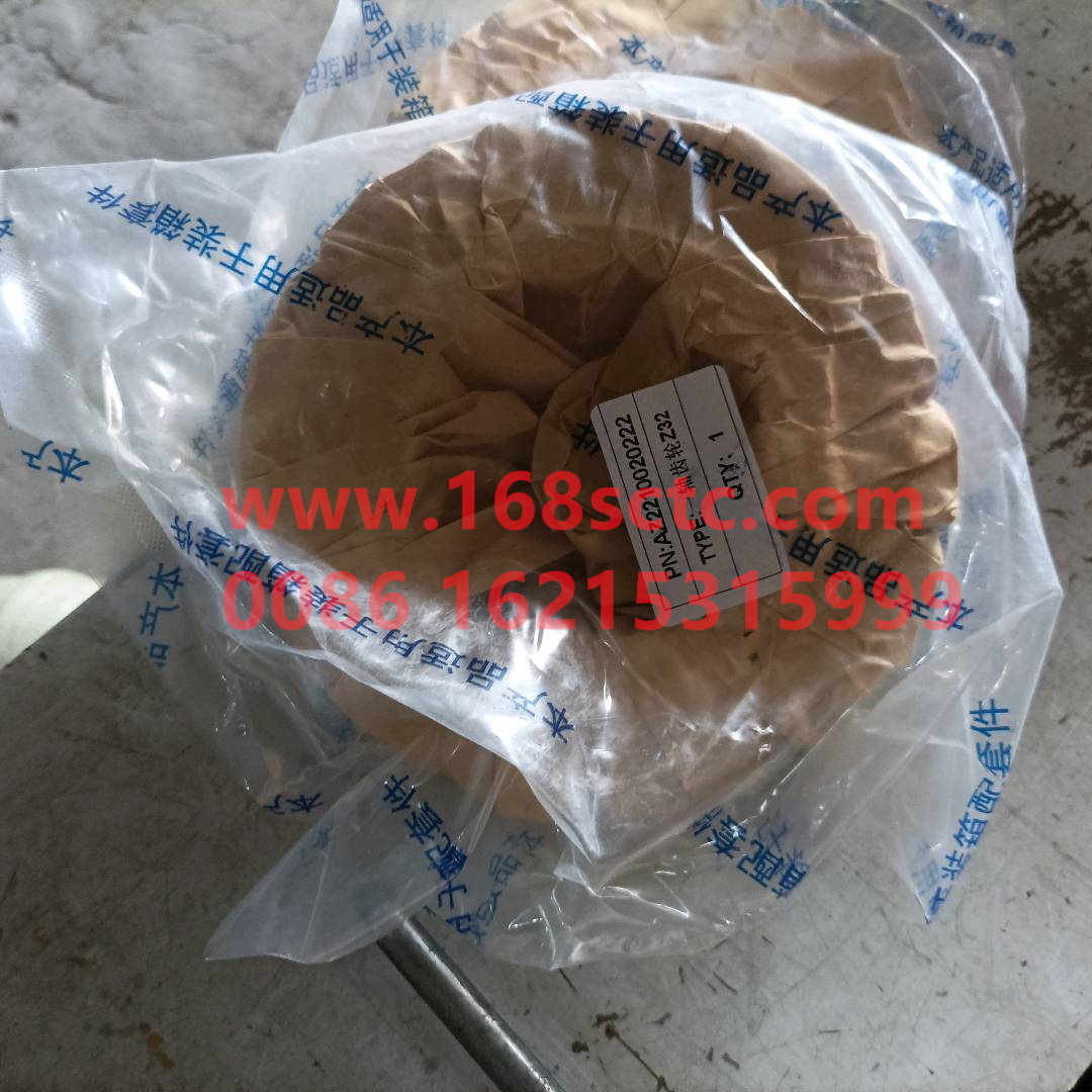 WG2210020222-SINOTRUK HOWO-One shaft gear-ZhongQiBianSuXiangHW19710