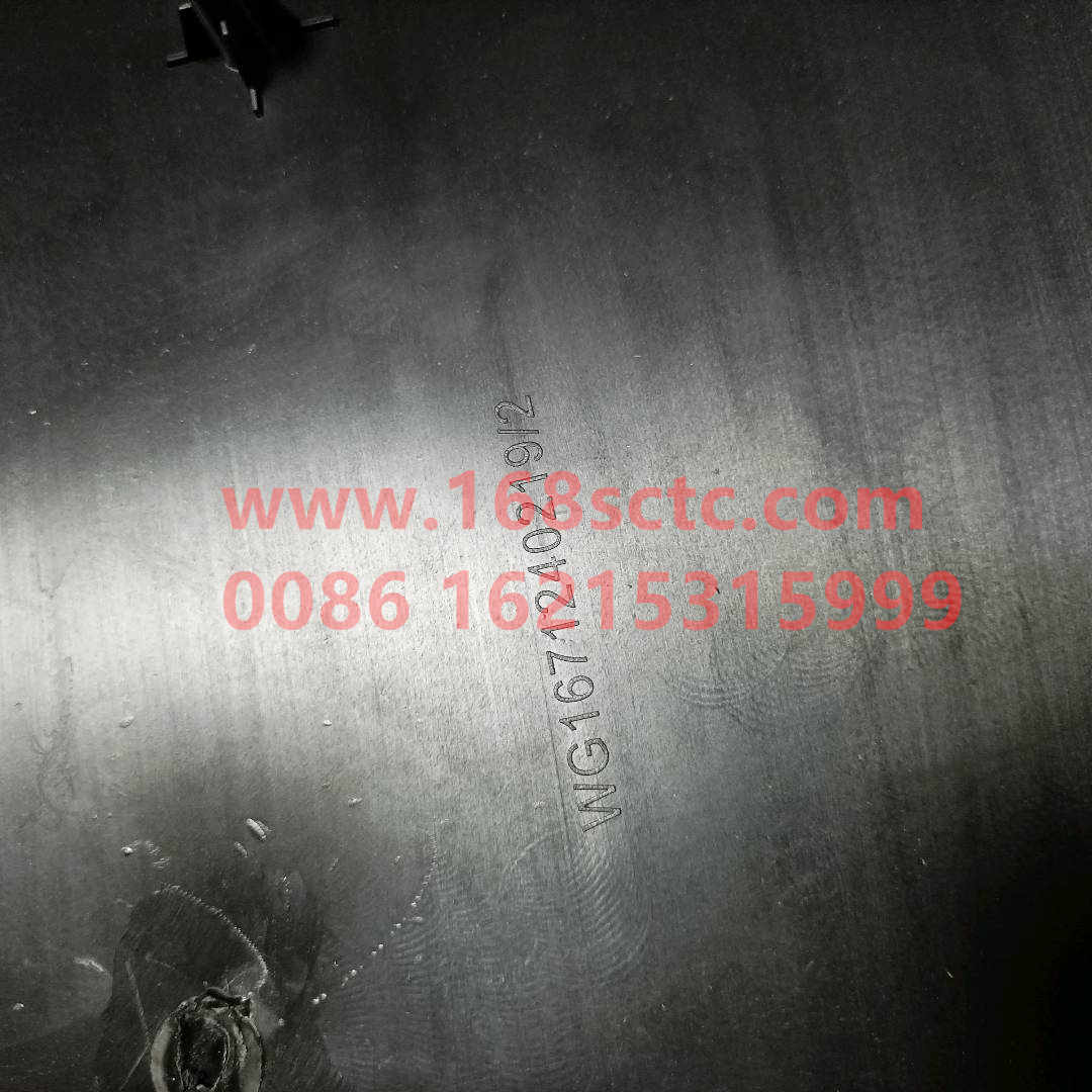 WG1671240219