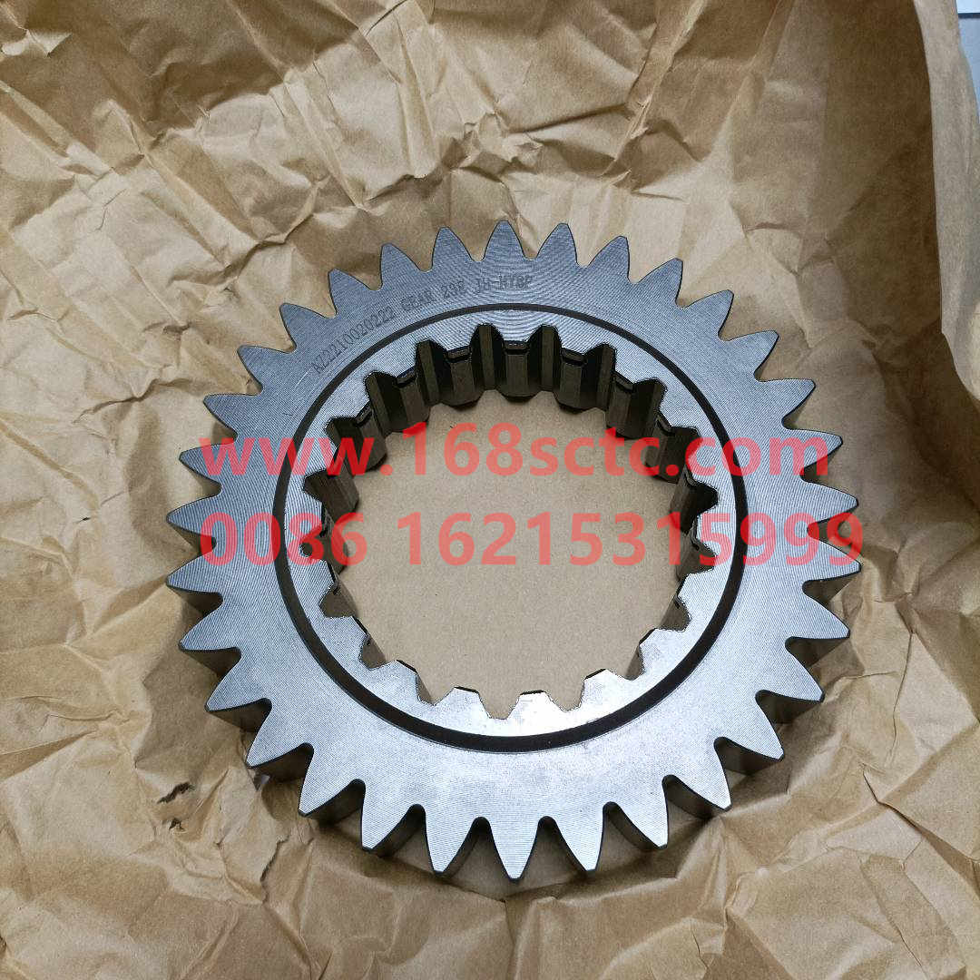 WG2210020222-SINOTRUK HOWO-One shaft gear-ZhongQiBianSuXiangHW19710