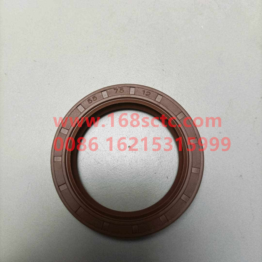 WG9003070055-SINOTRUK HOWO-Oil seal (transmission front oil seal 55x75x12)-HaoWo2013Kuan