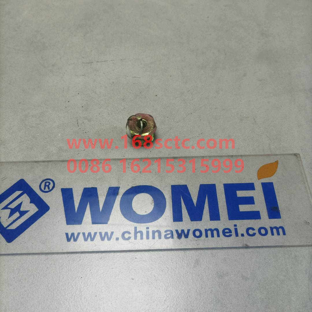 WG9000361402-SINOTRUK HOWO-drain valvecopper-HaoWo2013Kuan