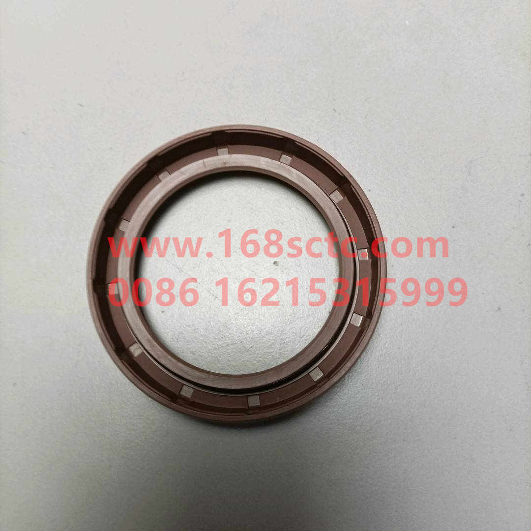 WG9003070055-SINOTRUK HOWO-Oil seal (transmission front oil seal 55x75x12)-HaoWo2013Kuan
