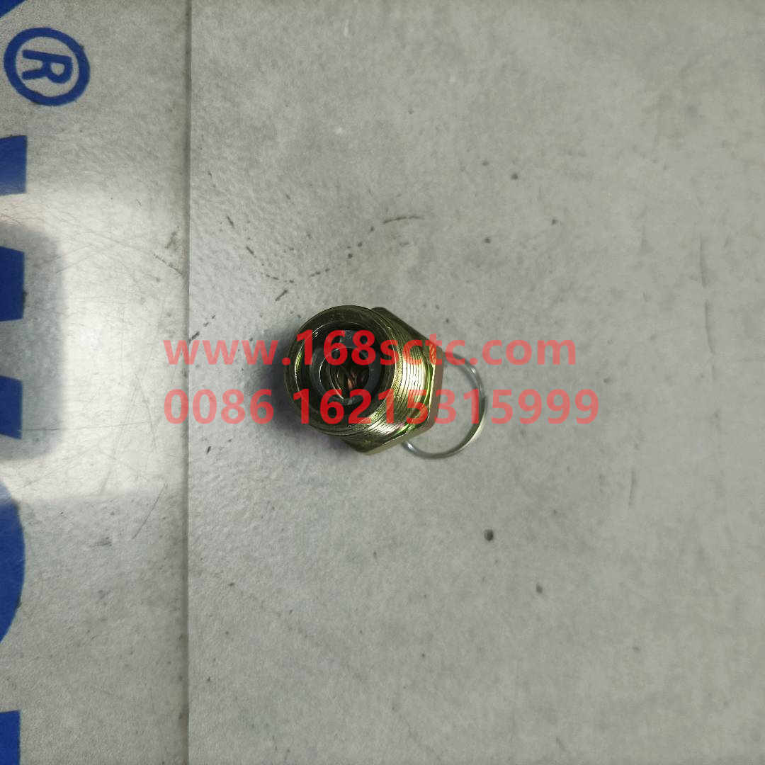 WG9000361402-SINOTRUK HOWO-drain valvecopper-HaoWo2013Kuan