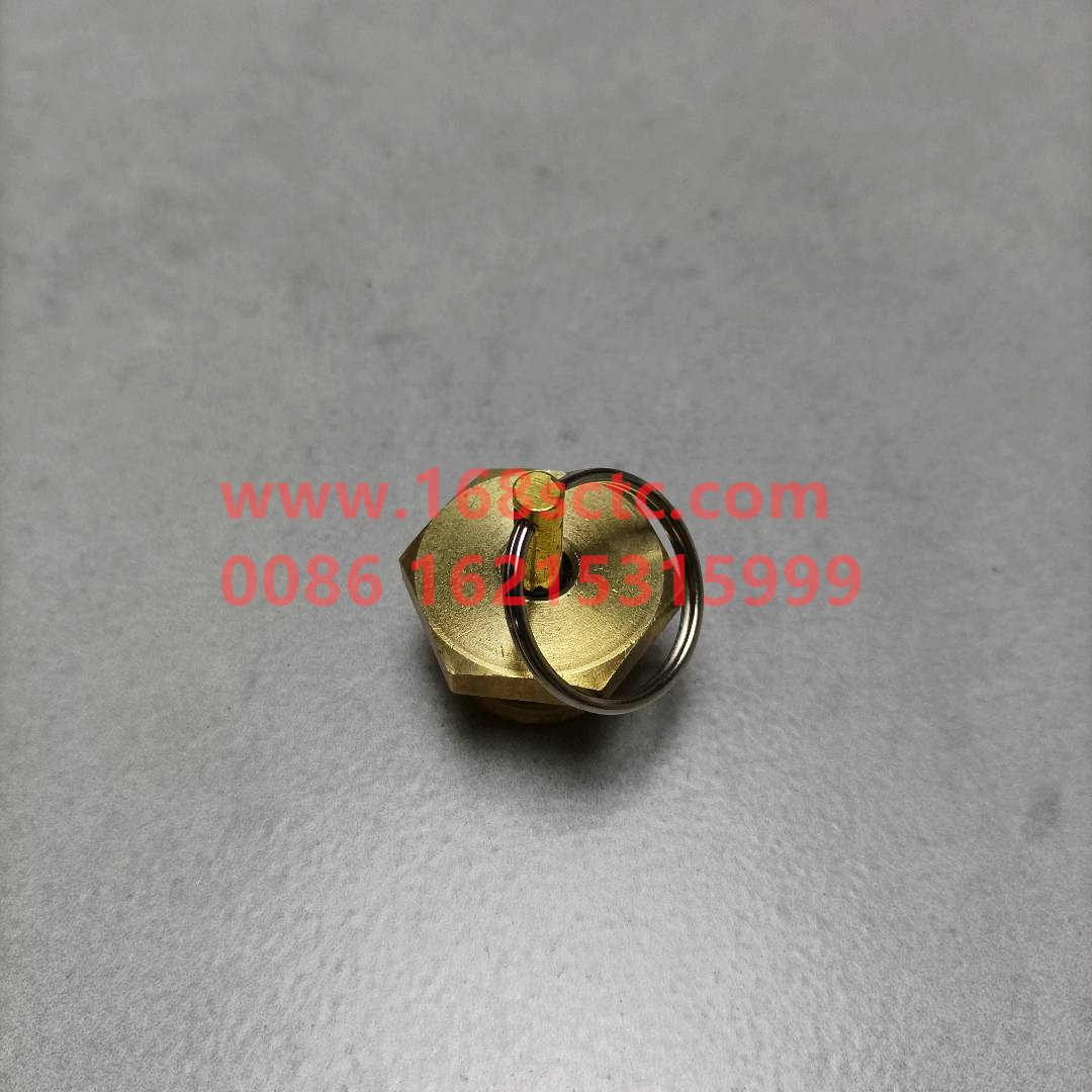 WG9000361402-SINOTRUK HOWO-drain valvecopper-HaoWo2013Kuan