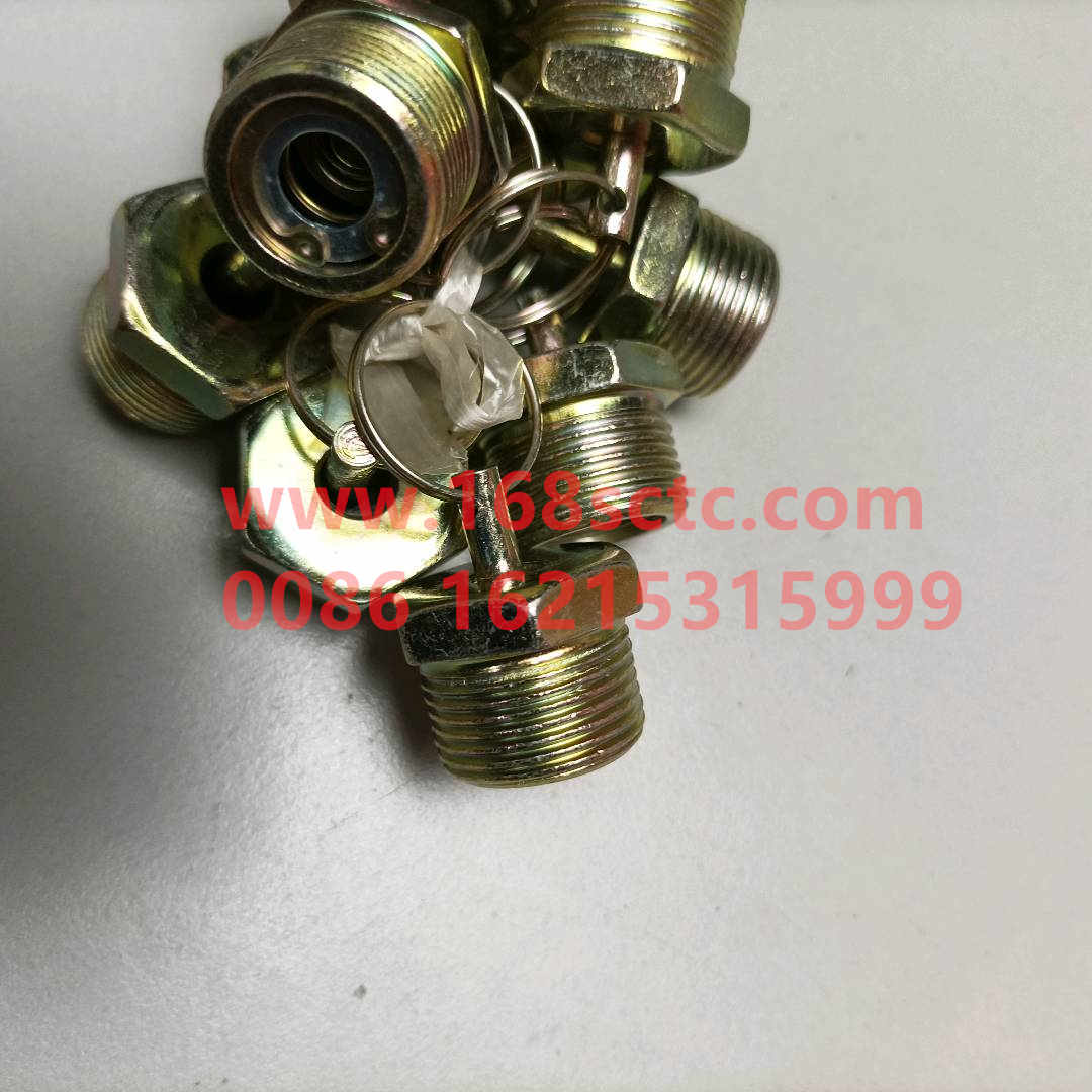 WG9000361402-SINOTRUK HOWO-drain valvecopper-HaoWo2013Kuan