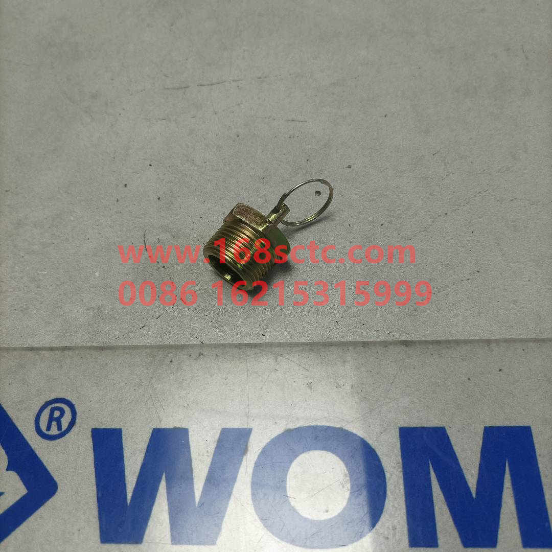 WG9000361402-SINOTRUK HOWO-drain valvecopper-HaoWo2013Kuan