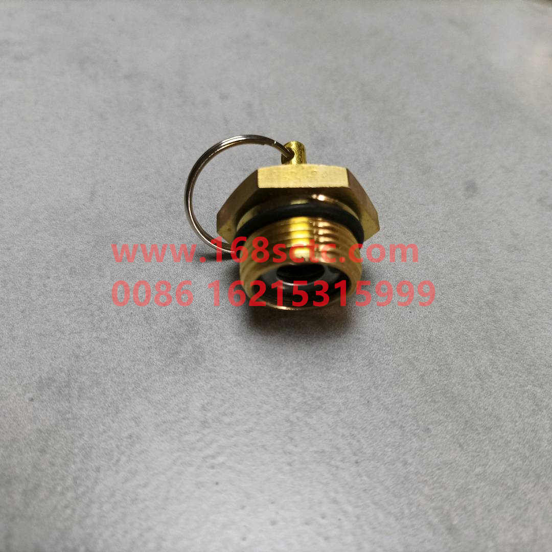 WG9000361402-SINOTRUK HOWO-drain valvecopper-HaoWo2013Kuan