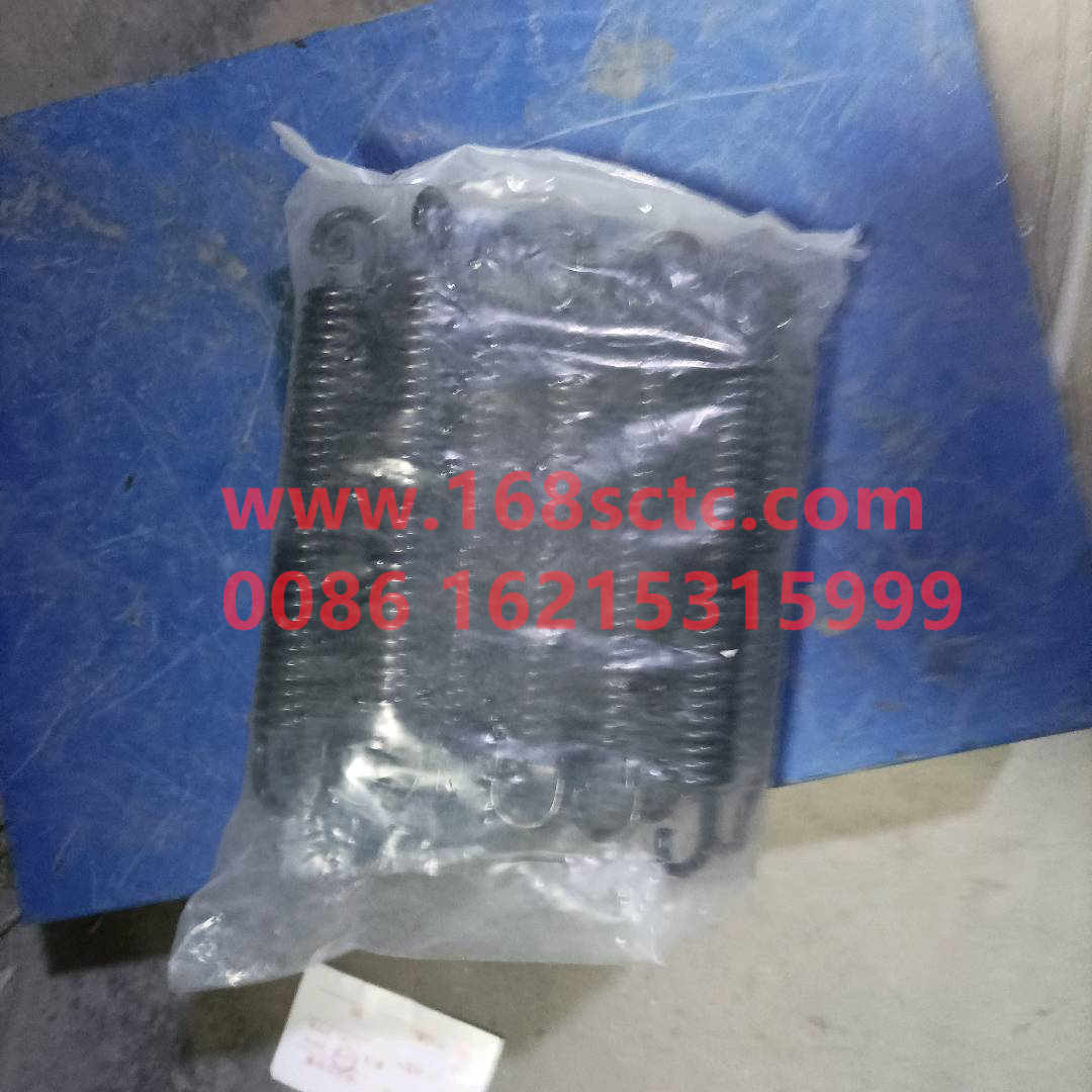 WG9100440061