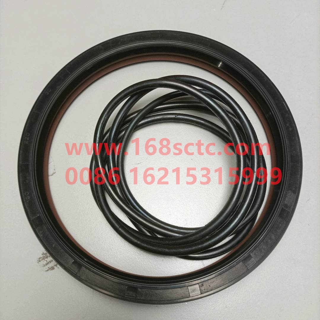 WG9981340113-SINOTRUK HOWO-Oil seal (rear wheel oil sealone bodyglue 190x220x15/30 STR)-ZhongQiHouQiaoHW1249
