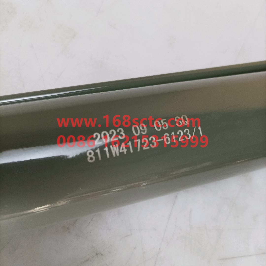811W41723-6123