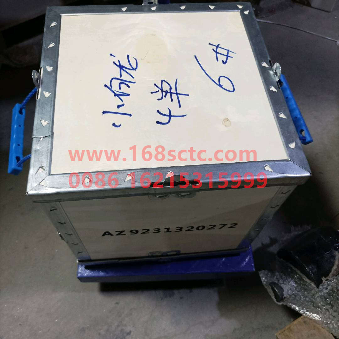 AZ9231320272-SINOTRUK HOWO-Differential case assembly-ZhongQiZhongQiaoHC16