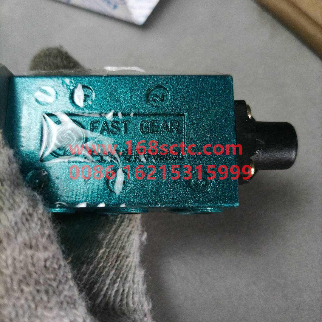 F99660-GEARBOX-pairhair valve-FaShiTeBianSuXiangRT11509C