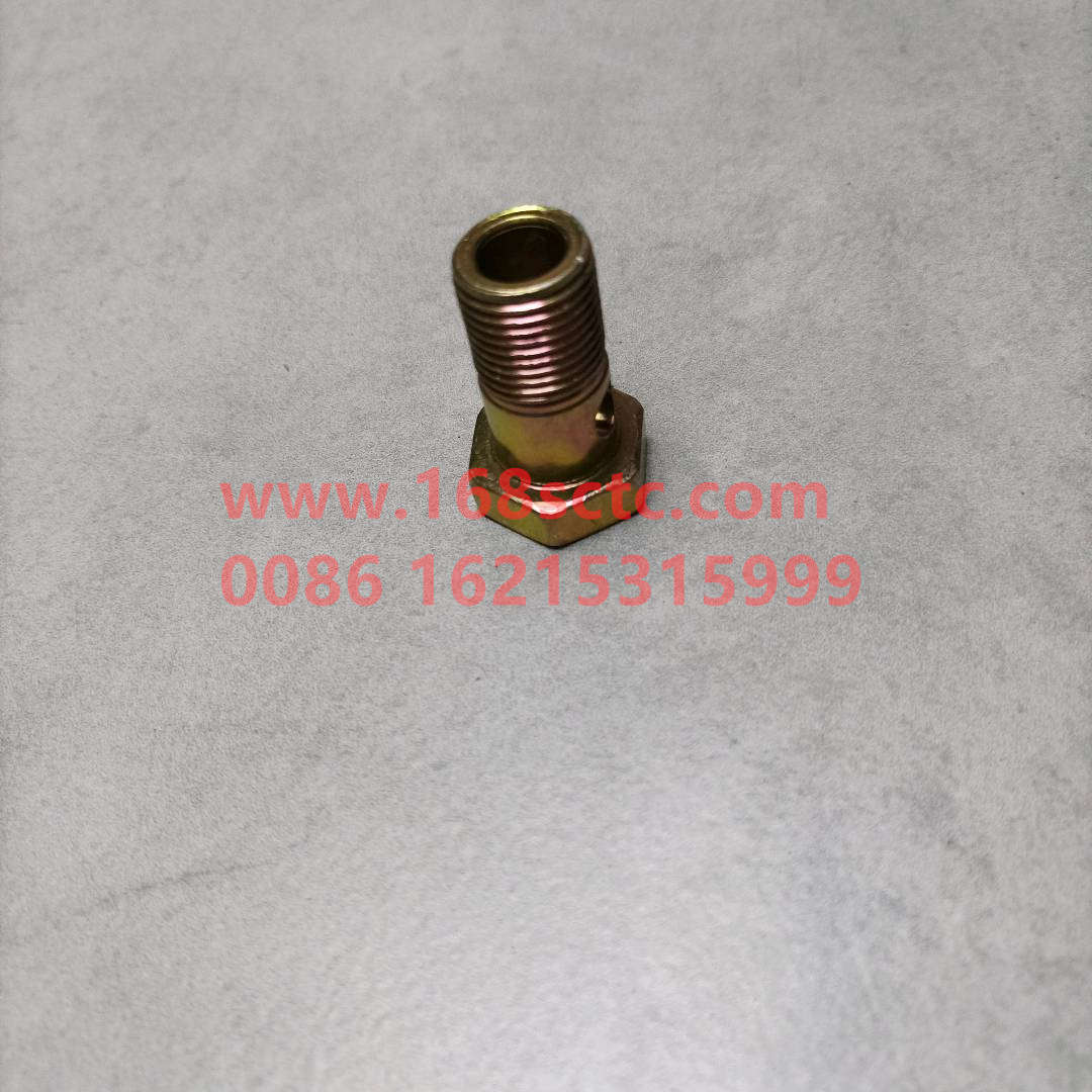 VG1246080014-SINOTRUK HOWO-hollow bolt-ZhongQiFaDongJiWD615.97NE