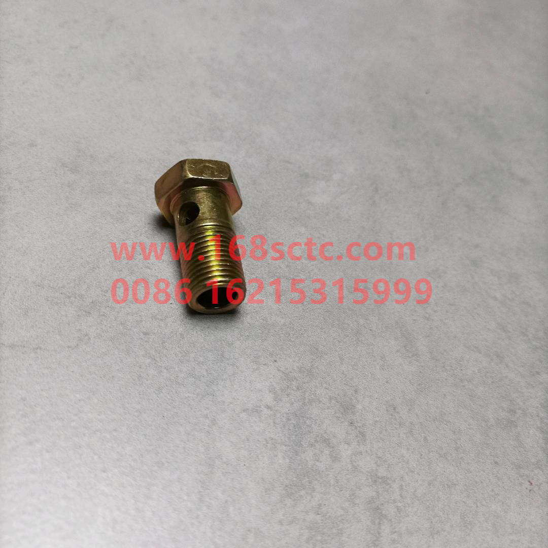 VG1246080014-SINOTRUK HOWO-hollow bolt-ZhongQiFaDongJiWD615.97NE
