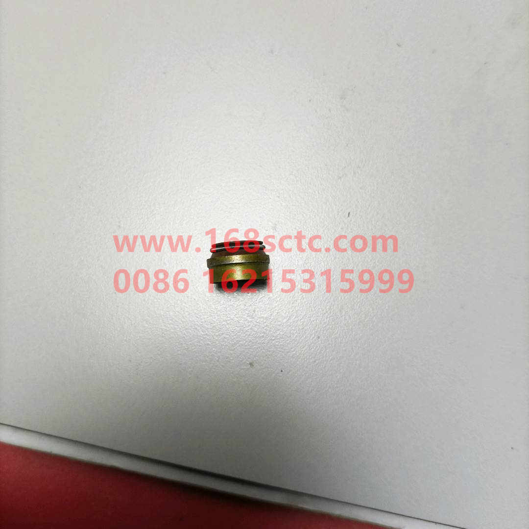 VG1560040032-SINOTRUK HOWO-Oil seal (valve oil sealSinotrukWD615)-ZhongQiFaDongJiWD615.97NE