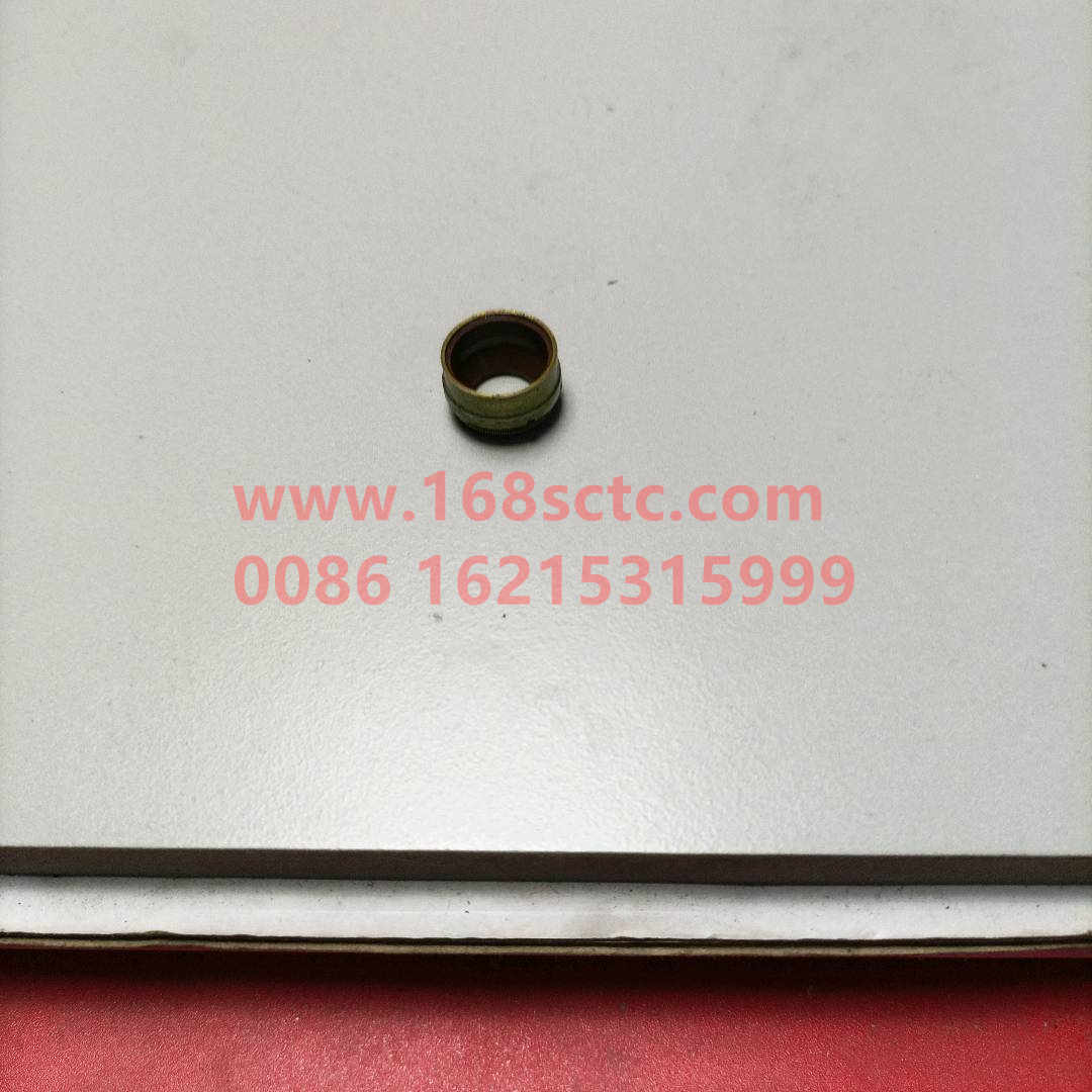 VG1560040032-SINOTRUK HOWO-Oil seal (valve oil sealSinotrukWD615)-ZhongQiFaDongJiWD615.97NE