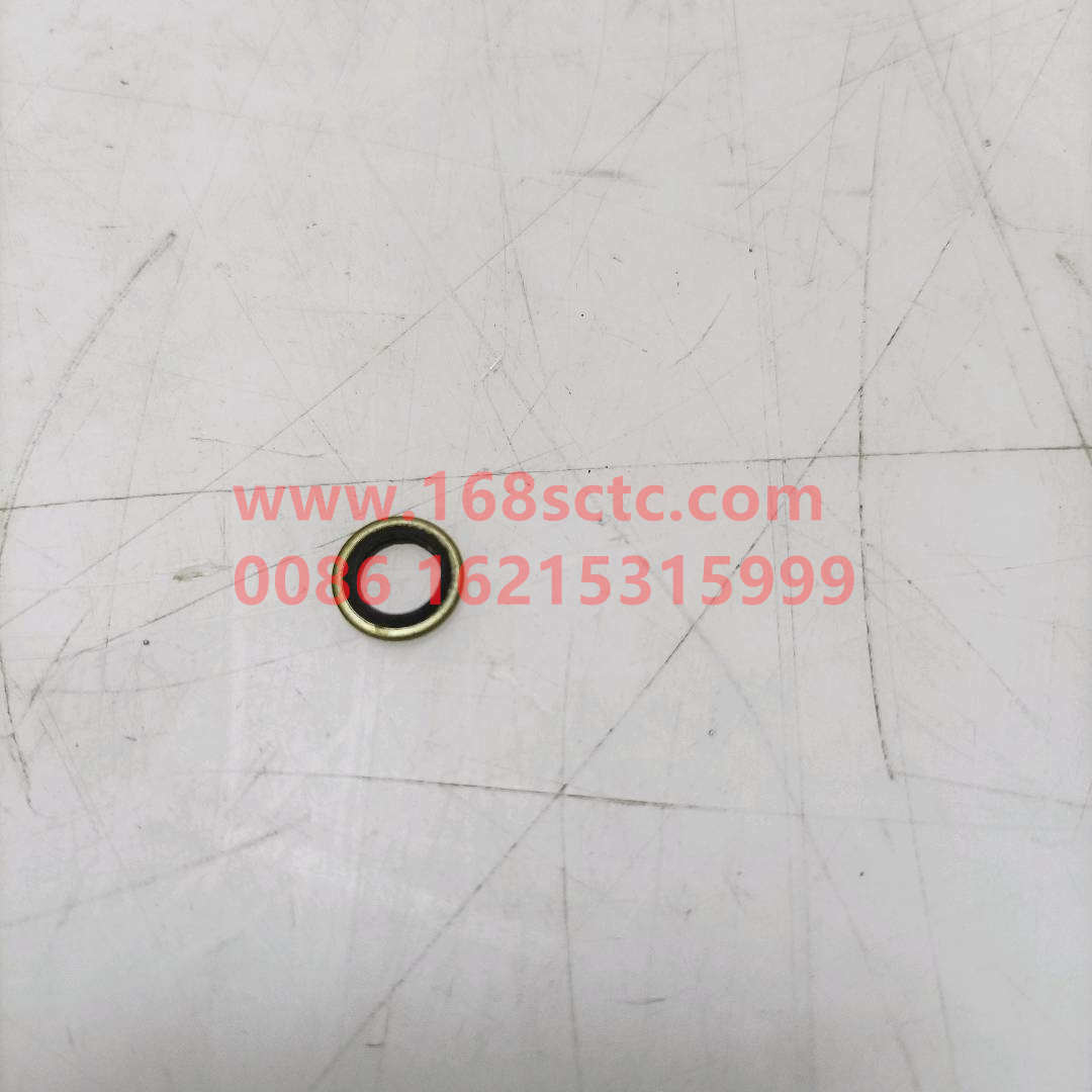 VG2600150106-SINOTRUK HOWO-Gasket-ZhongQiFaDongJiWT615.95