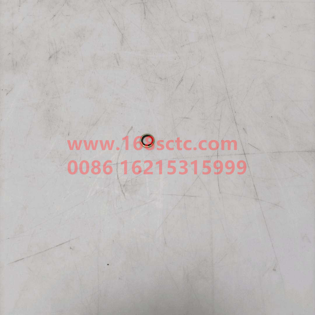VG2600150106-SINOTRUK HOWO-Gasket-ZhongQiFaDongJiWT615.95