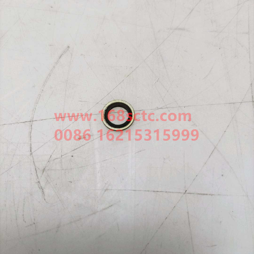 VG2600150106-SINOTRUK HOWO-Gasket-ZhongQiFaDongJiWT615.95