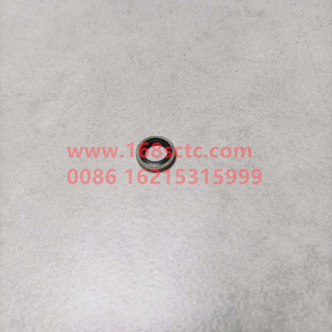 VG2600080201-SINOTRUK HOWO-Gasket-ZhongQiFaDongJiWT615.95