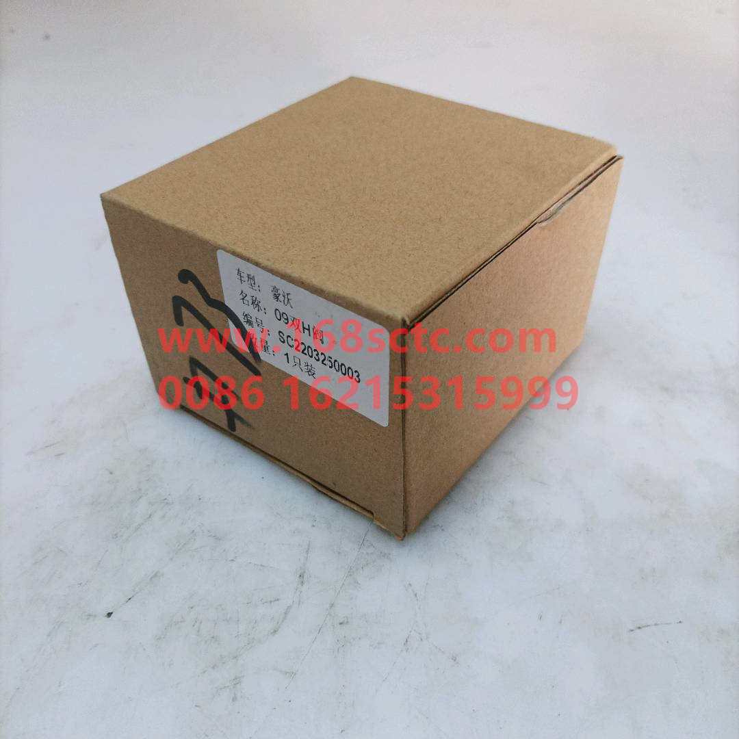 WG2203250003-SINOTRUK HOWO-pairhvalve assembly-HaoWo2013Kuan