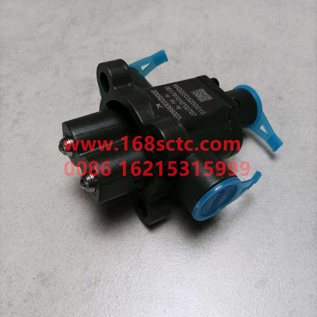 WG2203250015-SINOTRUK HOWO-pairhvalve assembly-ZhongQiBianSuXiangHW13710