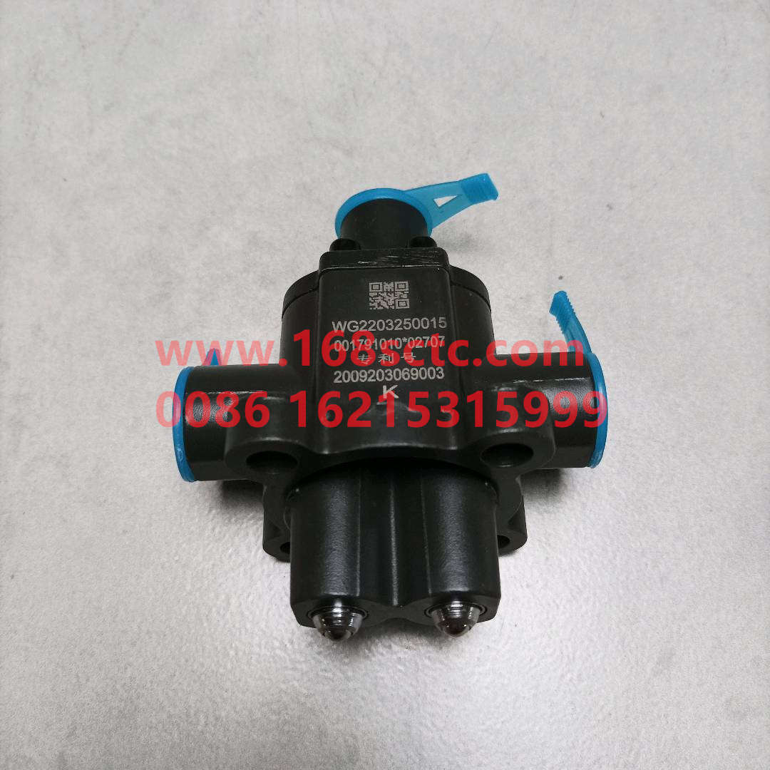 WG2203250015-SINOTRUK HOWO-pairhvalve assembly-ZhongQiBianSuXiangHW13710