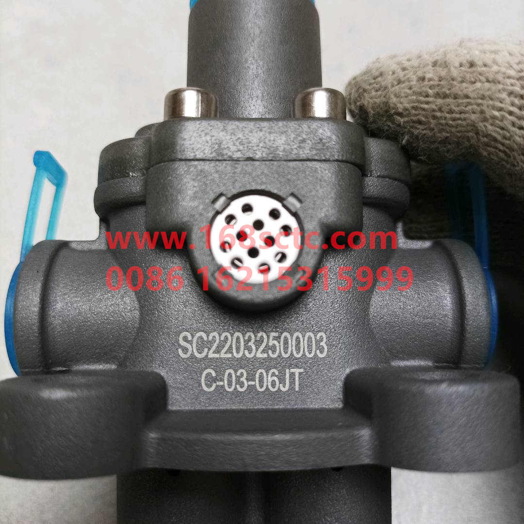 WG2203250003-SINOTRUK HOWO-pairhvalve assembly-HaoWo2013Kuan