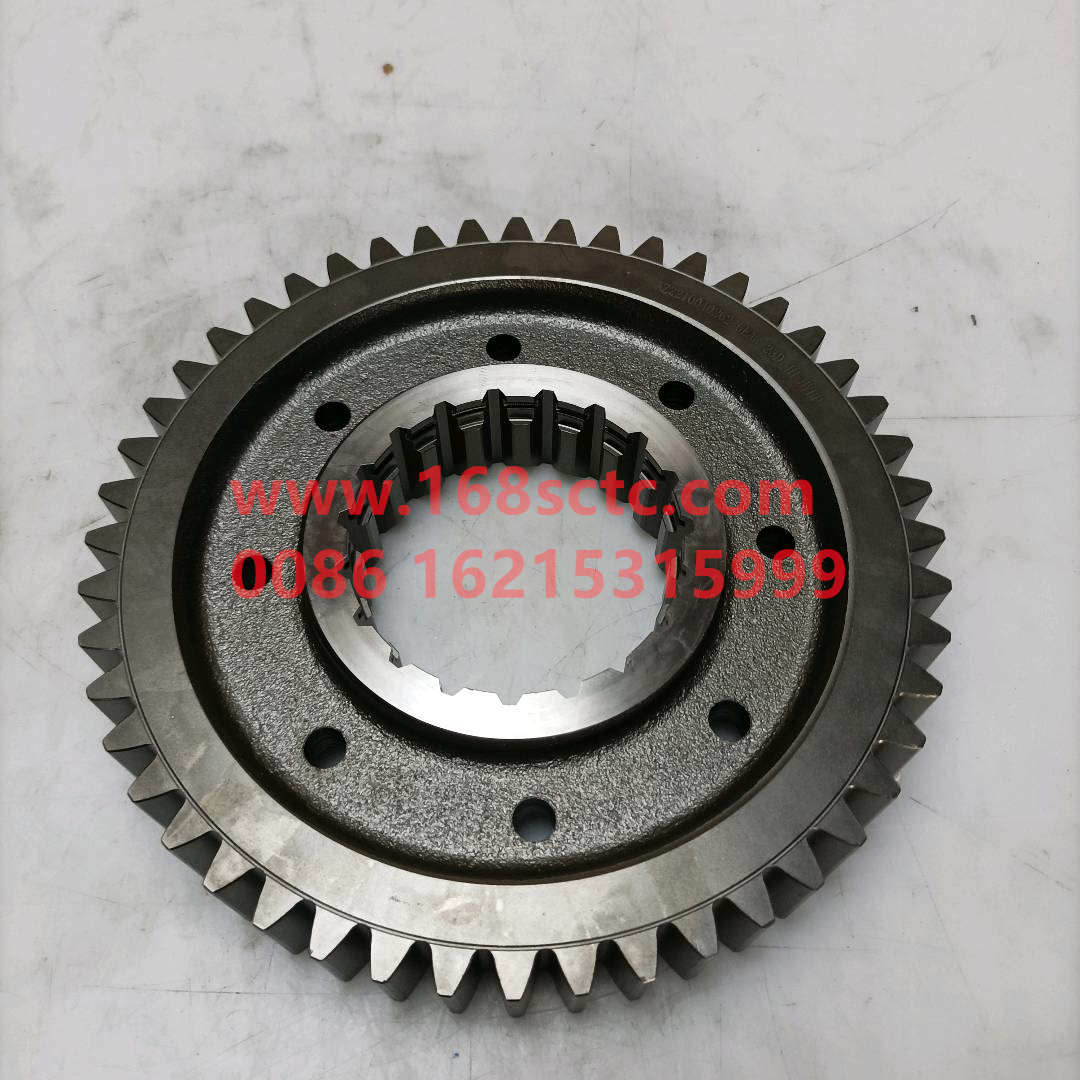 WG2210040262