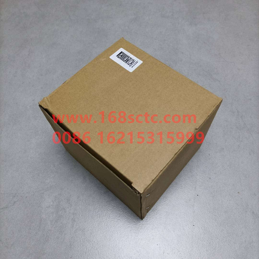 WG9000360134