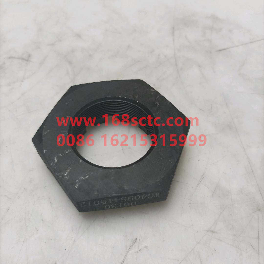 WG4095415012