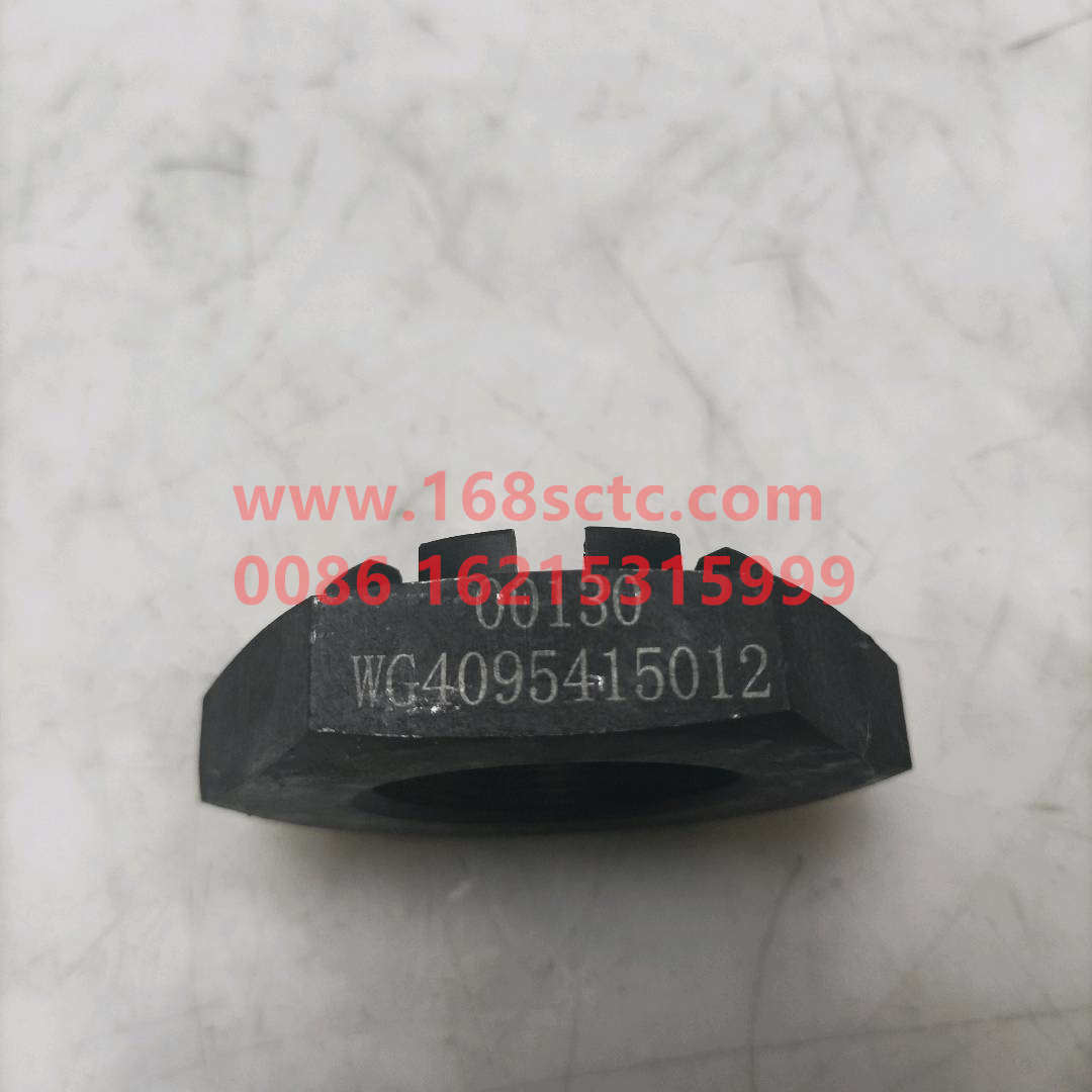 WG4095415012