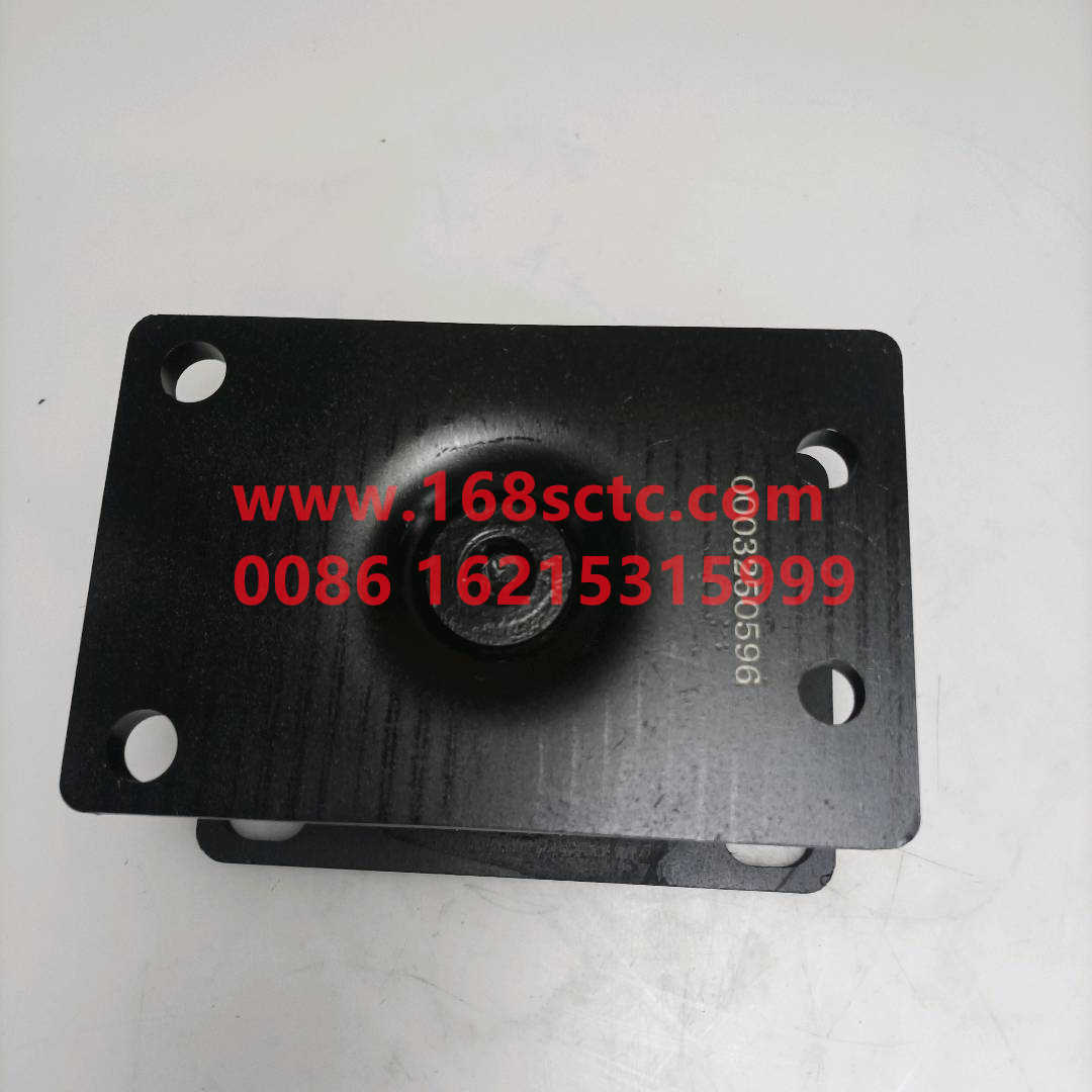 0003250596