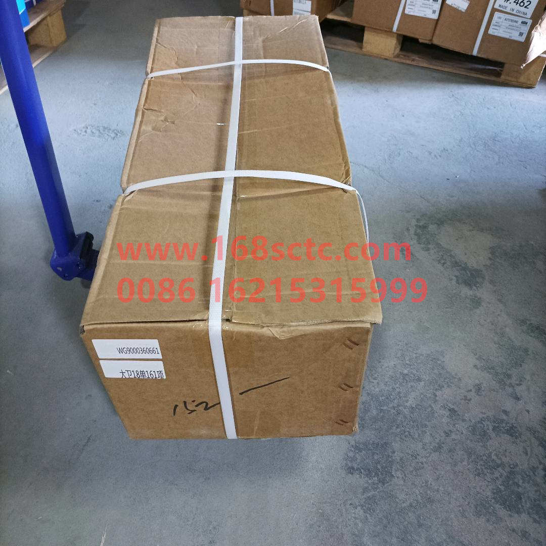 WG9000360661