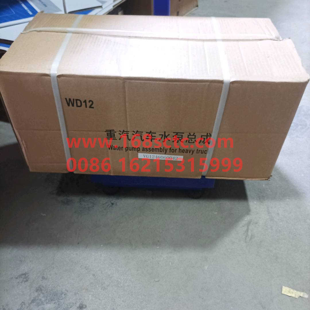 VG1246060042-SINOTRUK HOWO-Water Pump Assembly-ZhongQiFaDongJiD12.34-30
