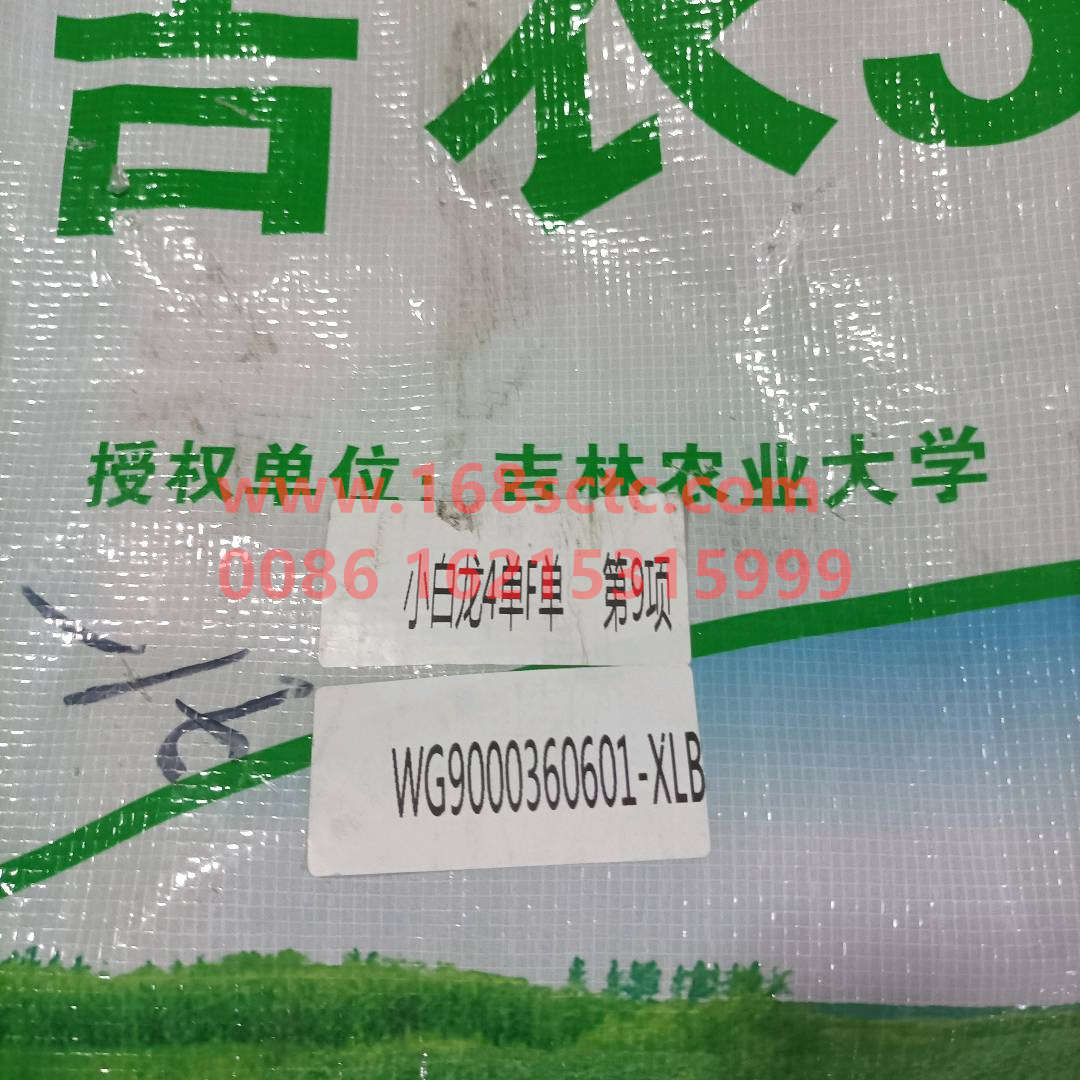 WG9000360601-XLB