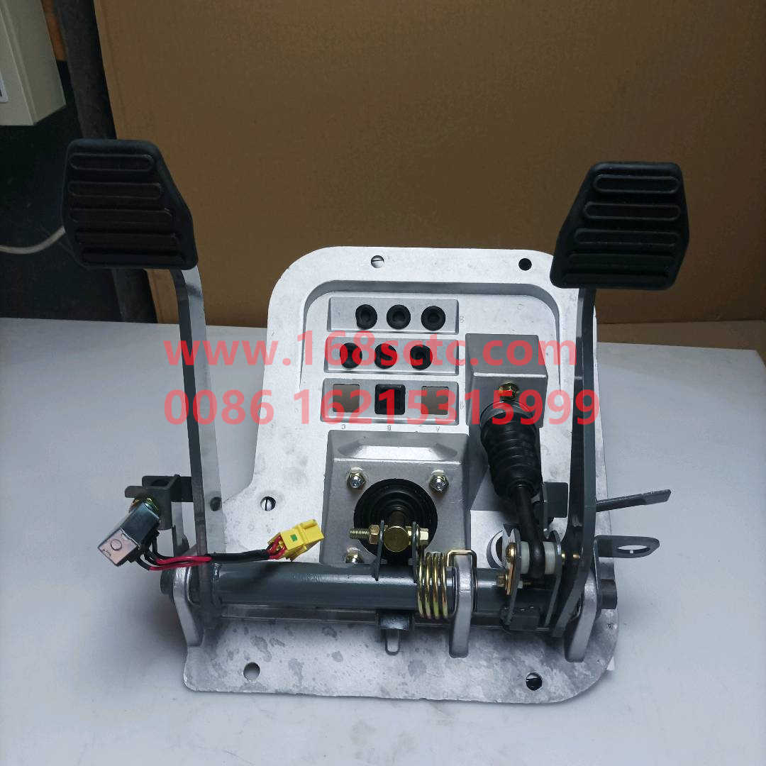 WG9725360020