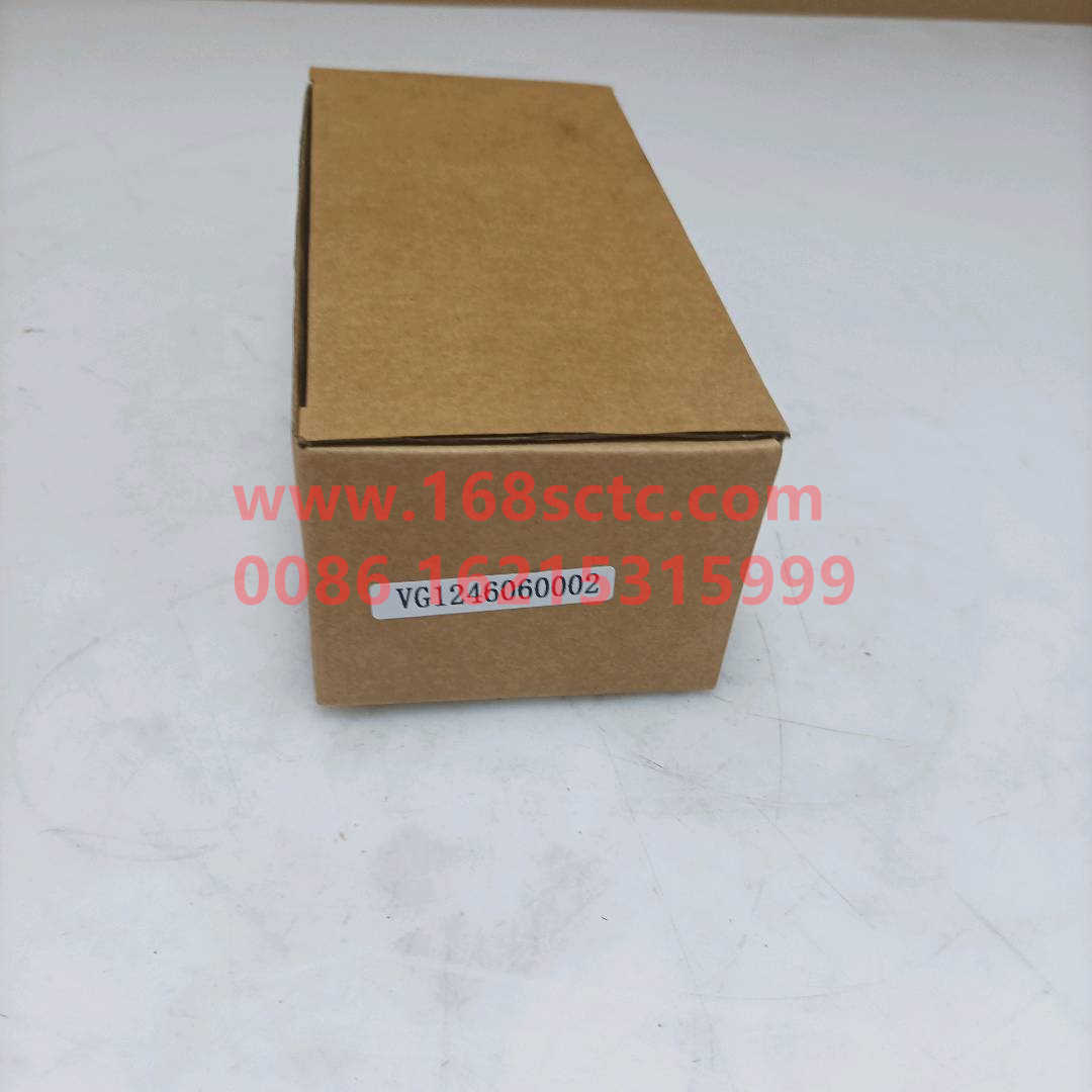 VG1246060002