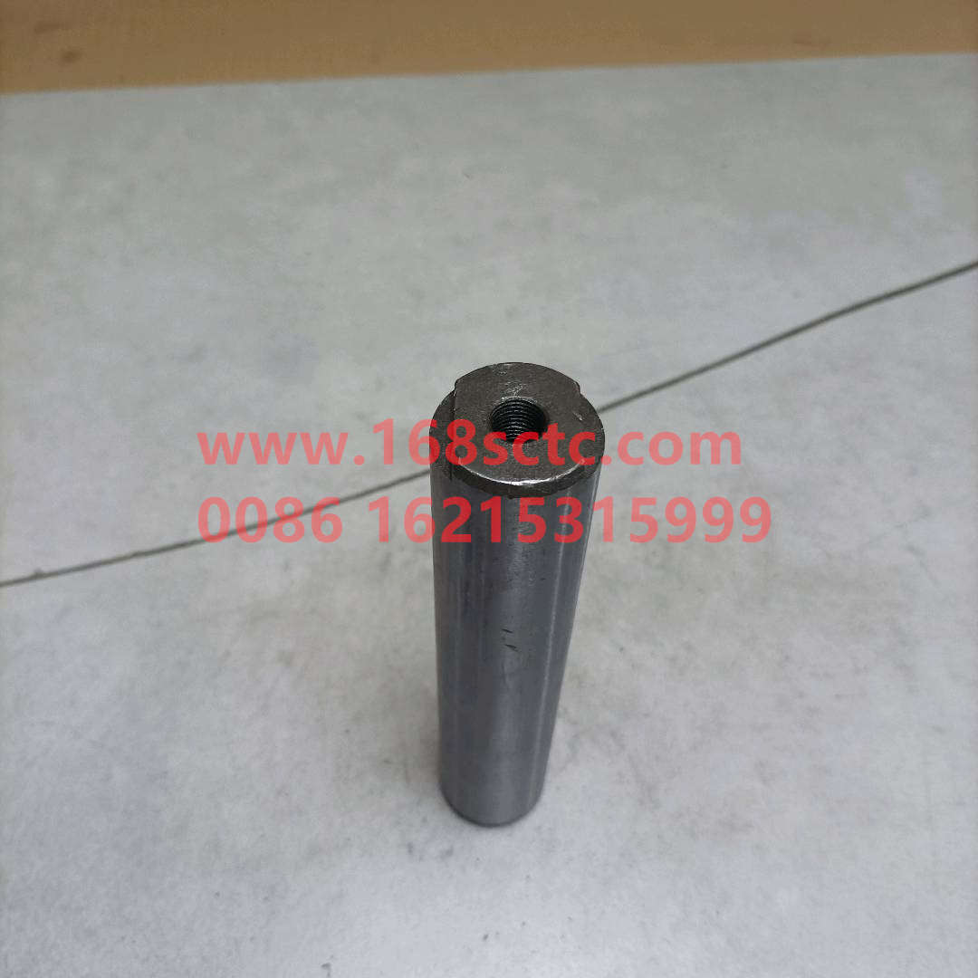 WG9100520065