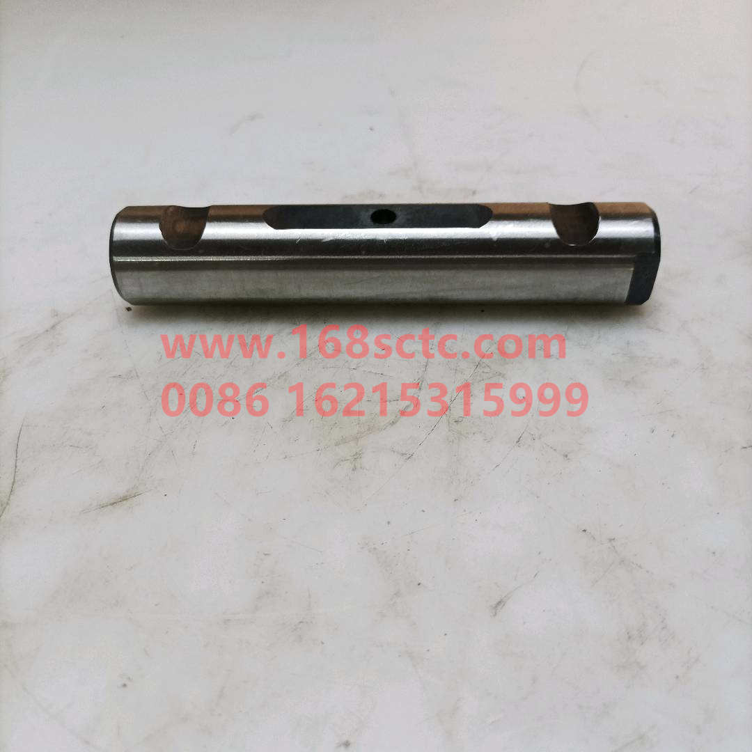WG9100520065