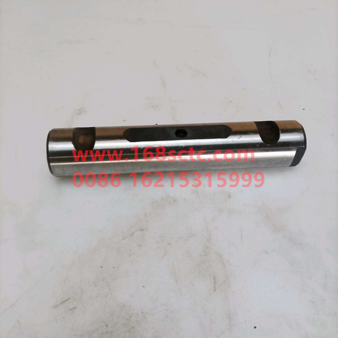 WG9100520065