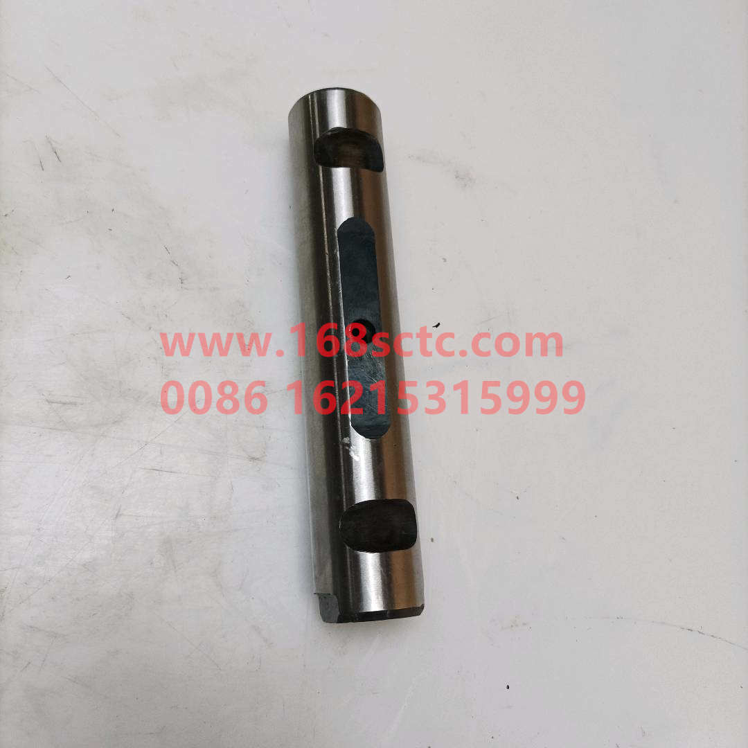 WG9100520065