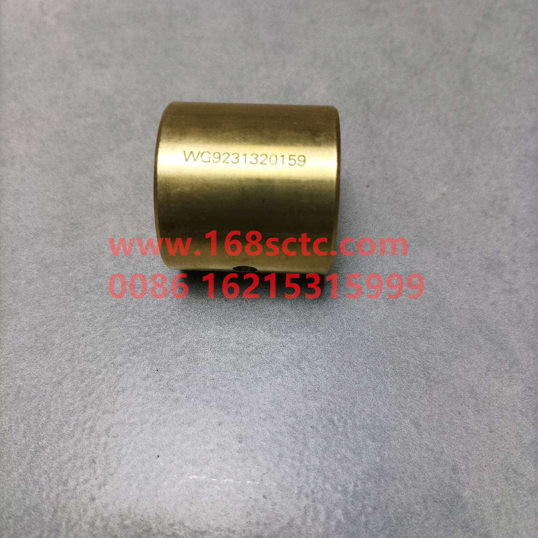 WG9231320159-SINOTRUK HOWO-Differential Planetary Gear Bushing 08payment-ZhongQiHouQiaoAC16