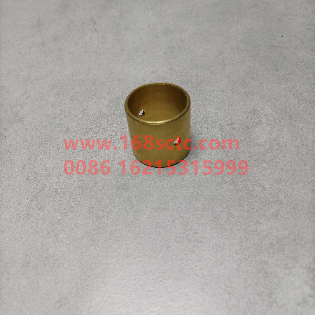 WG9231320159-SINOTRUK HOWO-Differential Planetary Gear Bushing 08payment-ZhongQiHouQiaoAC16
