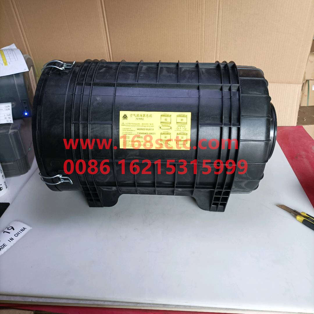 WG9525195060
