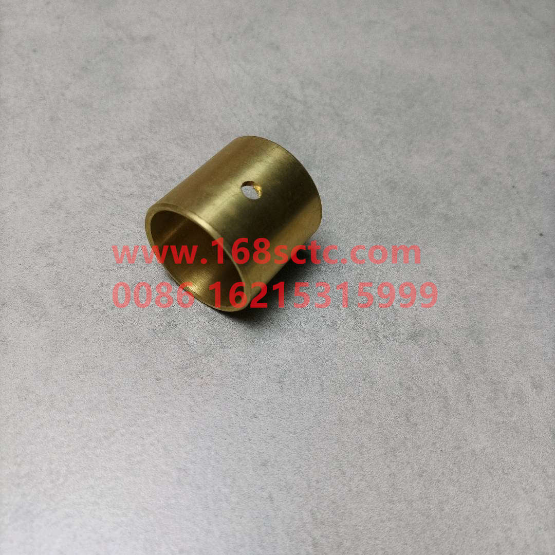 WG9231320159-SINOTRUK HOWO-Differential Planetary Gear Bushing 08payment-ZhongQiHouQiaoAC16