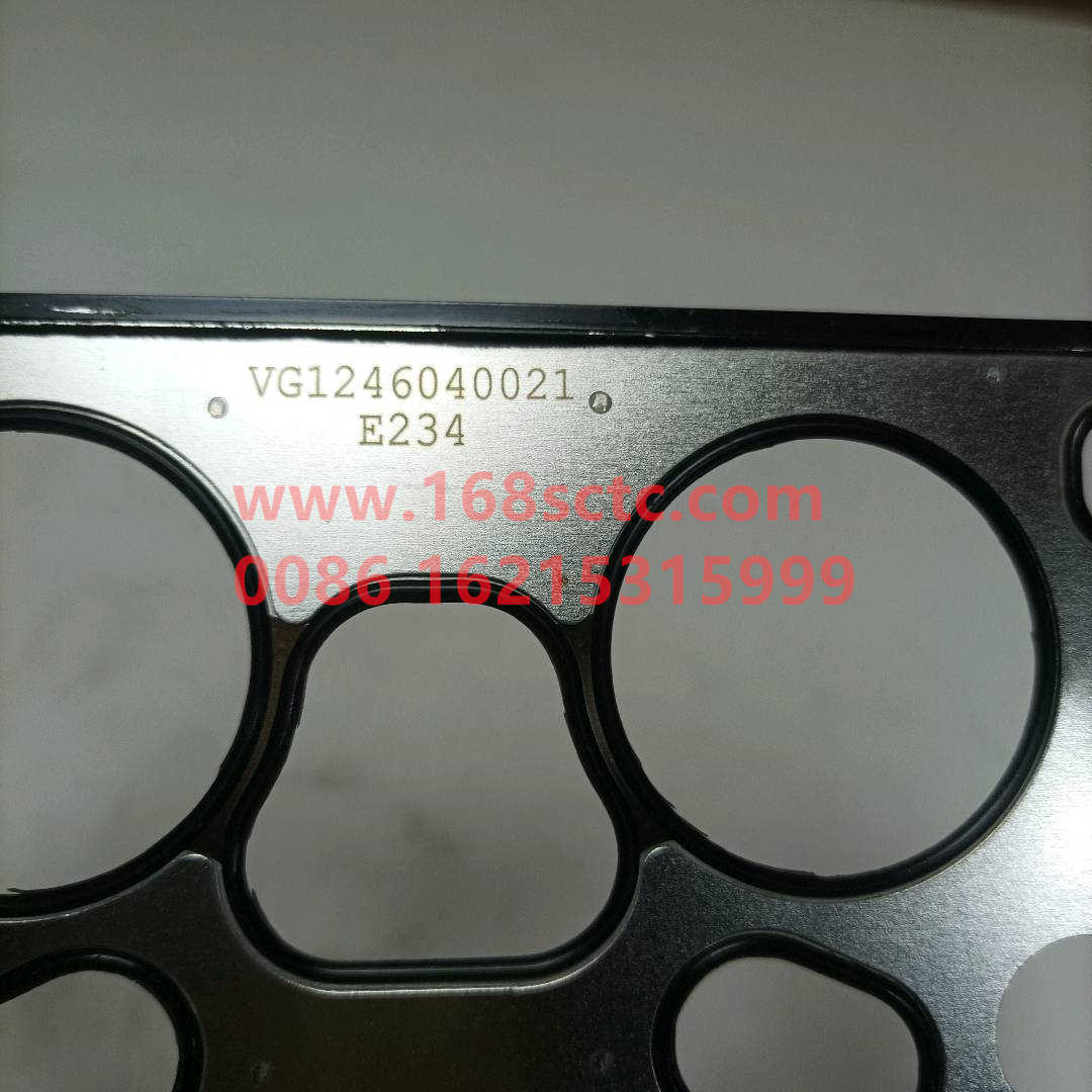 VG1246040021