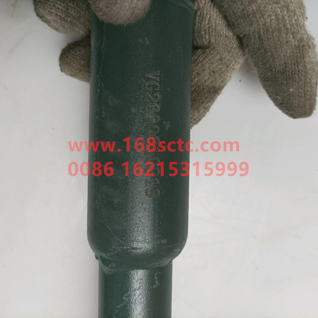 WG2600010919