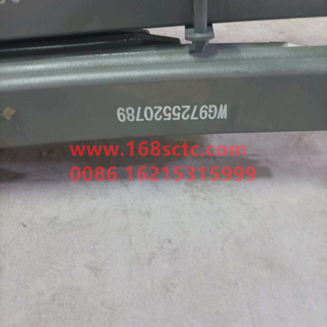 WG9725520789
